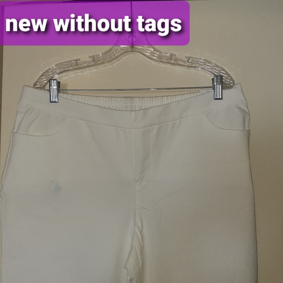 Pull up pants. NWOT. 18W. Never worn. Has stains. - Picture 2 of 8